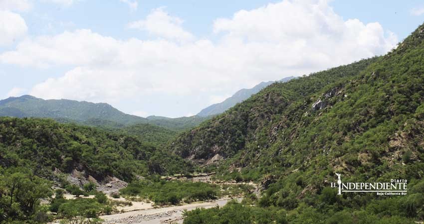 Conagua evaluará zona federal y concesiones