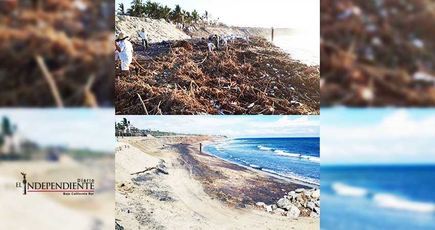 Rehabilitadas las playas palmilla, santa maría, chileno, el médano y la empacadora