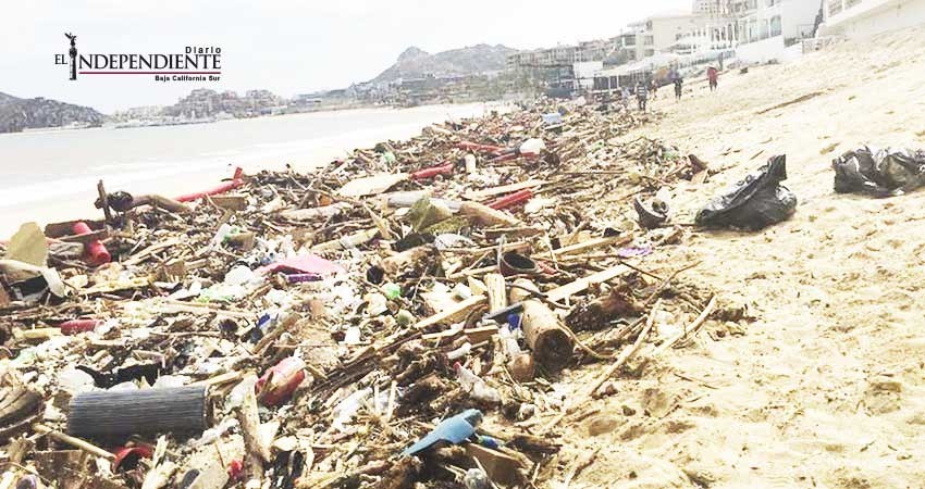 Contaminadas aún 39 playas a causa de “Lidia”: Semarnat