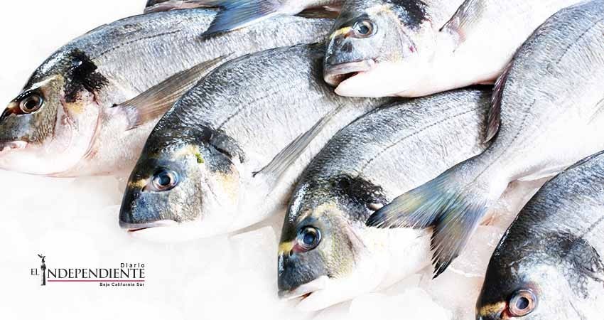 Sector acuícola el más afectado por los fenómenos meteorológicos