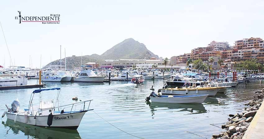 Continúan brigadas de limpieza de la Bahía de Cabo San Lucas