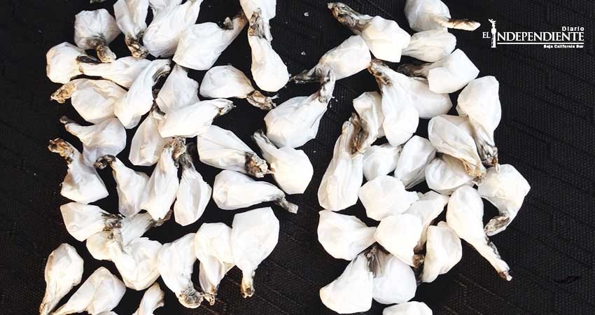 Con 100 dosis de cristal, aseguran a una persona en la ampliación Navarro Rubio