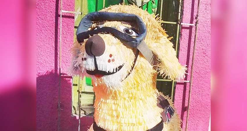 La perrita más famosa de México ‘Frida’ ya tiene su piñata