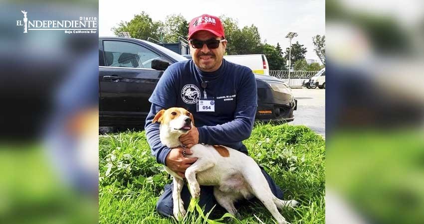 Binomio canino cabeño participó en las labores de búsqueda y rescate en Ciudad de México