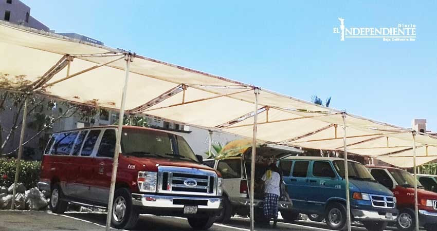 Taxistas de Los Cabos crean app para ofrecer servicio similar a Uber