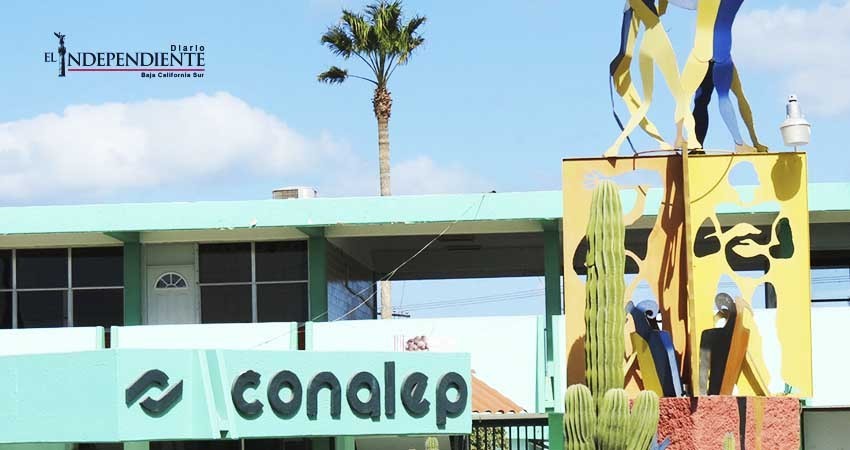 Mengua solución de huelga en los Conalep; SEP no mejoró oferta: Académicos