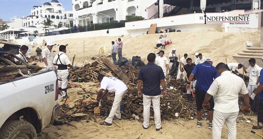 Zofemat Los Cabos en espera del Programa de Empleo Temporal para rehabilitar playas