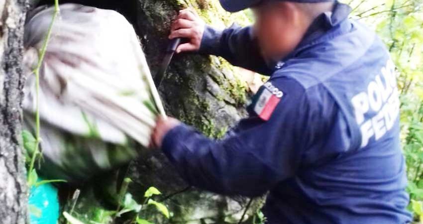 Hallan 100 kilos de droga oculta en una cueva de Guerrero