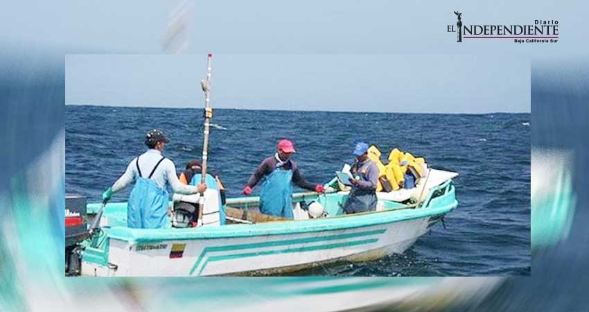 No hay registro de robo de embarcaciones en Los Cabos en los últimos dos años