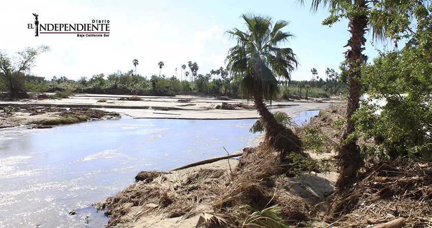 Reaviva tema del rescate del Estero de San José del Cabo (SJC)