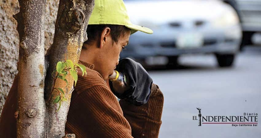 9 años, edad mínima en que se inician en las drogas en BCS: CIJ