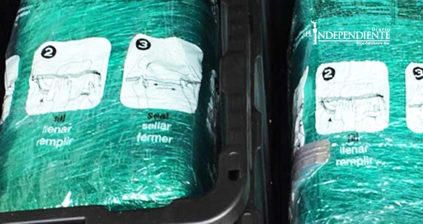 Compran contenedores y llegan llenos de… ¡mariguana!