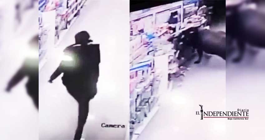 Búfalo ataca ferozmente a una mujer embarazada