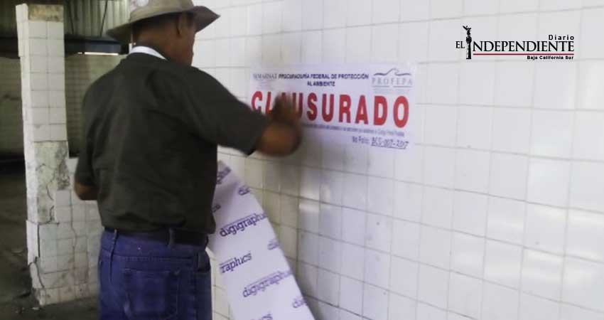 Clausuran bodegas de Baja Ferries por inadecuada acumulación de residuos peligrosos