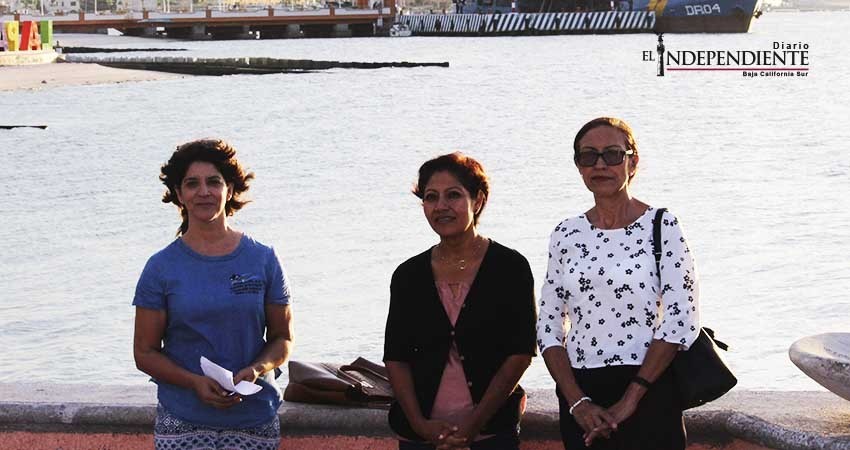 Afectará al delfín nariz de botella el dragado en bahía de La Paz