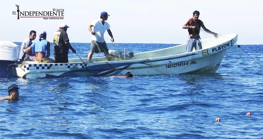 Se propondrá al Congreso que seguro de vida para pescadores sea permanente