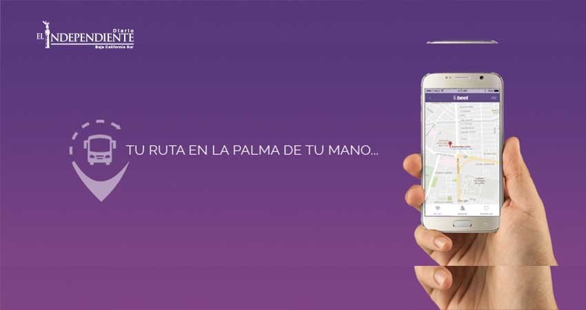 Reactivan aplicación para mejorar el servicio de transporte en BCS