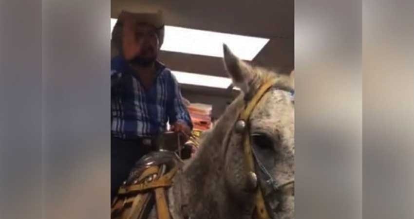 Se mete con todo y caballo a comprar cervezas a OXXO en Acapulco