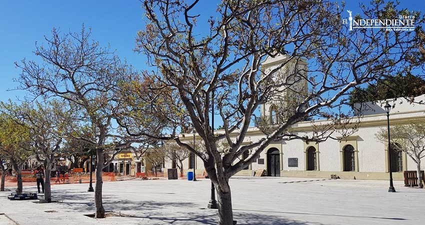 Acuerdan cambios en el paisaje arbolado de remodelación de plaza cívica de SJC
