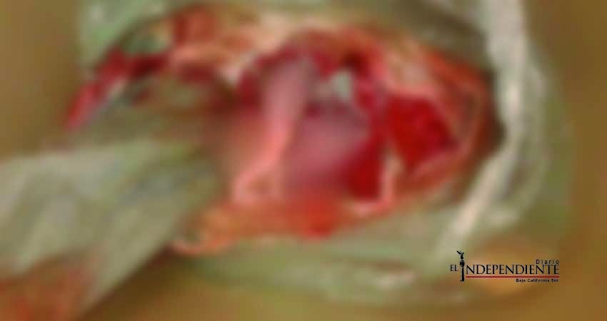 Hallan feto en cesto de basura de Soriana en San José del Cabo