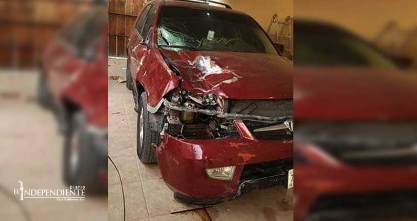 Siguen accidentes por ganado suelto en la Transpeninsular