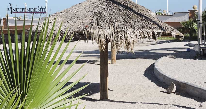 Verificó Coepris 26 playas de BCS; mancha en playas del sur es parte de la propia naturaleza