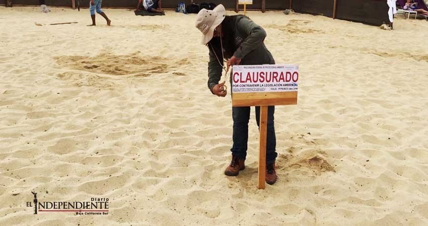 Se había instalado sin autorización en playa Médano y Profepa lo retiró
