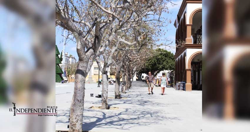 Estima SECTURE rehabilitación de Plaza Mijares quede lista antes de que finalice el 2017