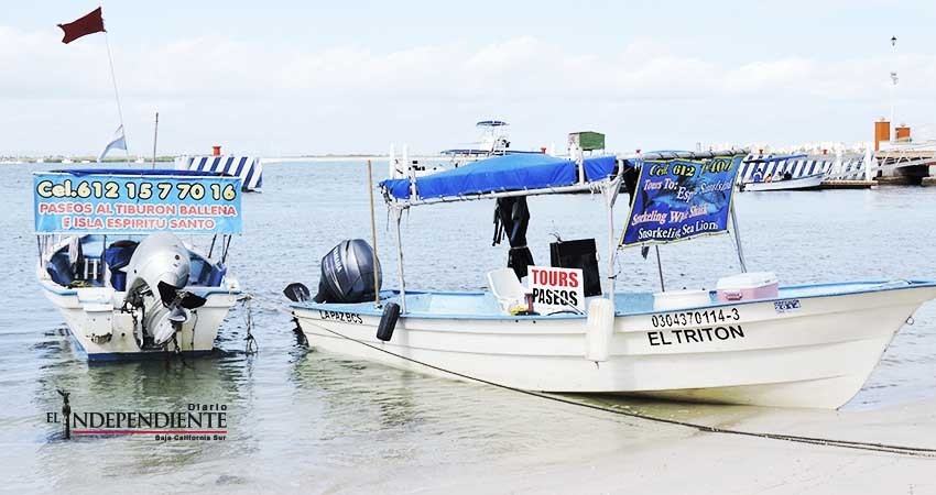 Requisitos de Semarnat dificultan viajes con Tiburón Ballena, denuncian prestadores de servicios