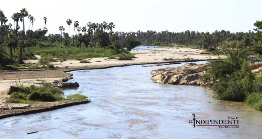 Cuerpo de agua del Estero San José se encuentra en etapa de recuperación