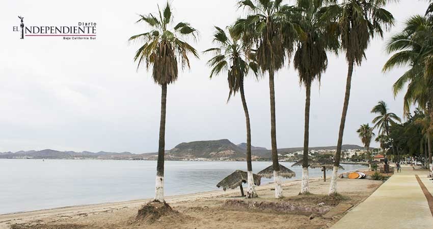 Remodelación del malecón beneficia a algunos negocios y hace desaparecer a otros