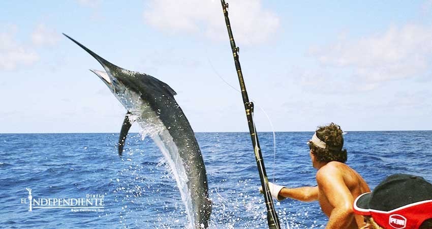 Llaman a restaurantes, hoteles y particulares, a no vender especies destinadas a pesca deportiva