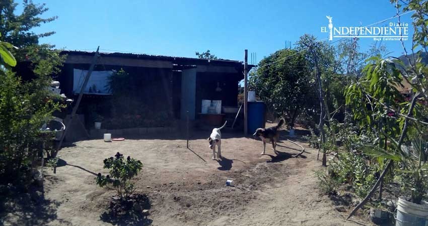 Rezago social se debe a la falta de voluntad de las autoridades