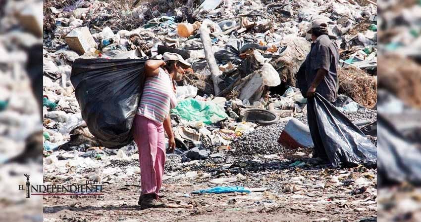 Hay en Los Cabos más de 150 pepenadores regularizados