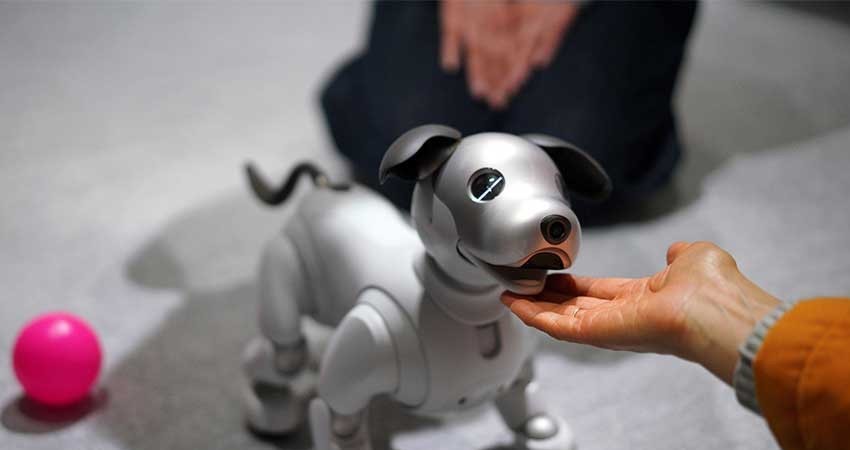 Aibo, el perro-robot, arrasa y se agota en la venta anticipada