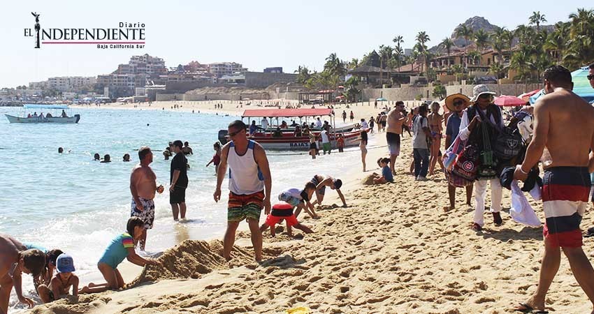 Blue Flag logrará incrementar la protección de especies marinas en la playa de El Médano