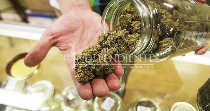 Debemos revisar experiencias en otros países legalizando marihuana: Segob