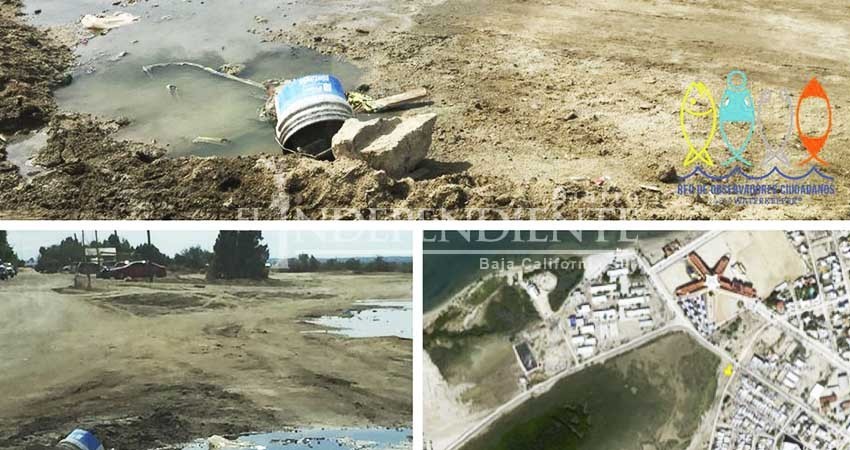 Derrame de aguas negras contamina manglares en El Conchalito