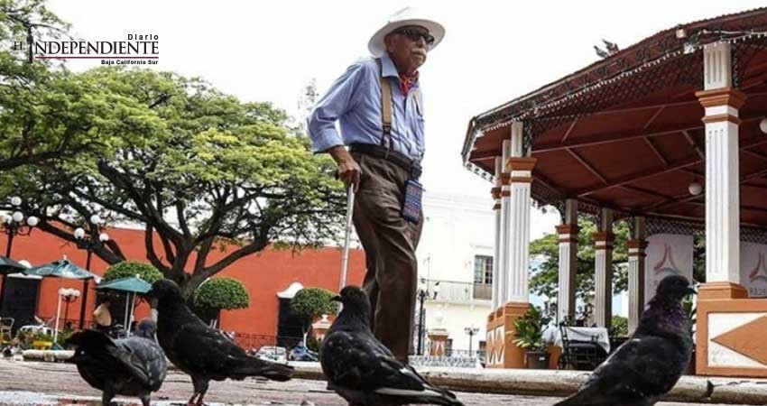 Estudian movimientos anómalos de adultos mayores… con señales de Wifi