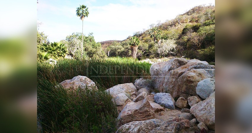 Se pierden dos jóvenes en la Sierra de la Laguna
