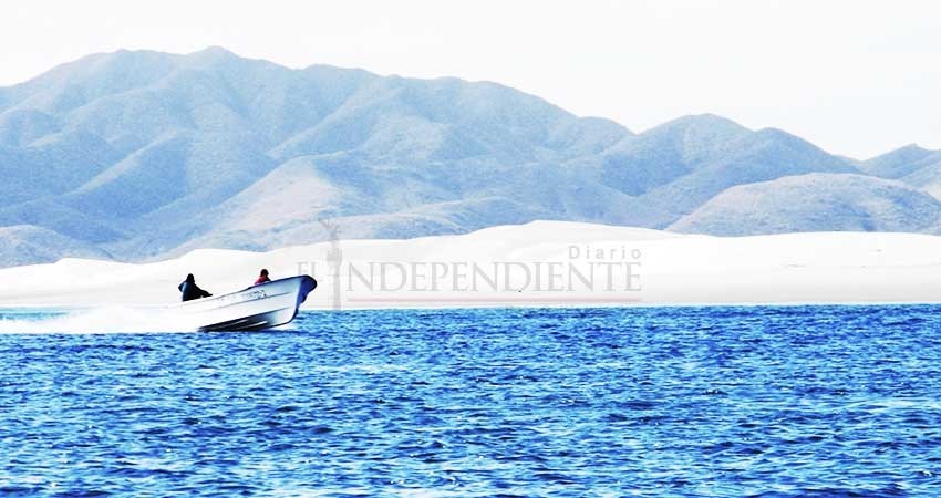 En alerta sector pesquero por “prohibición” de extracción de tiburones y rayas