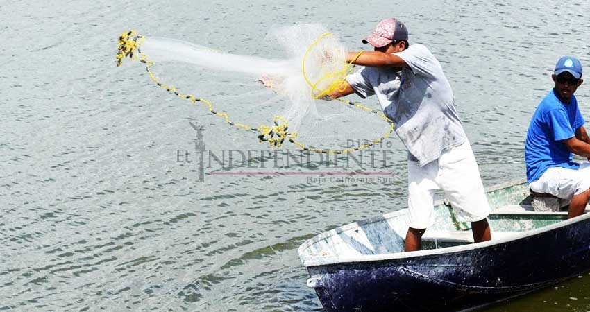 Buscará Alejandro Tirado que Ley General de Biodiversidad “no avance”