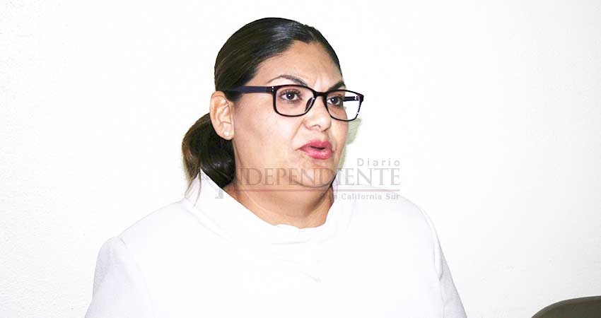 Dictaminará INE en próximos días sobre apoyos reunidos por independientes: IEE