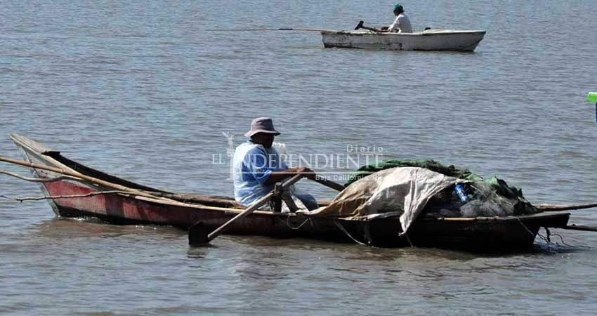 Ley de Biodiversidad es dañina para todo México, no solo para la pesca: Conmecoop