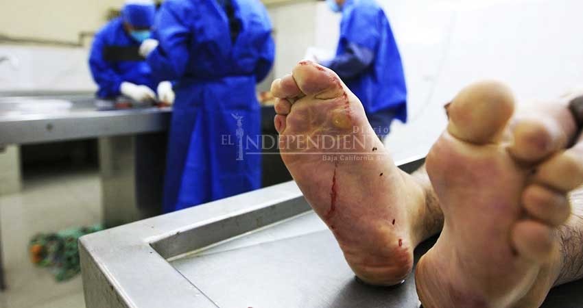 El 30% de los cuerpos resguardados en Semefo no son identificados