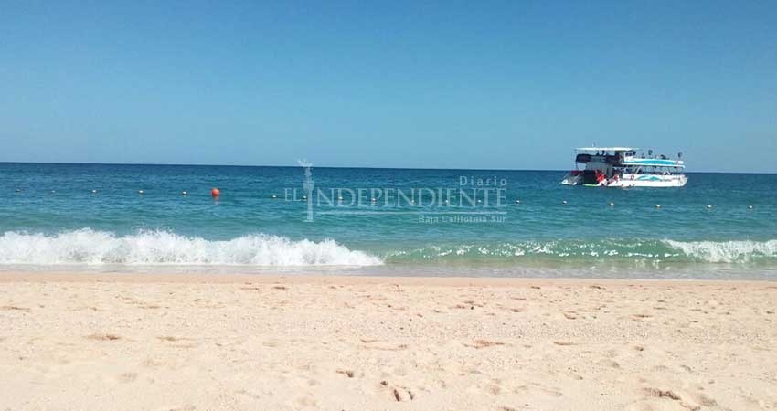 Apoyarán fuerzas de seguridad a Zofemat en cuidado de playas de Los Cabos