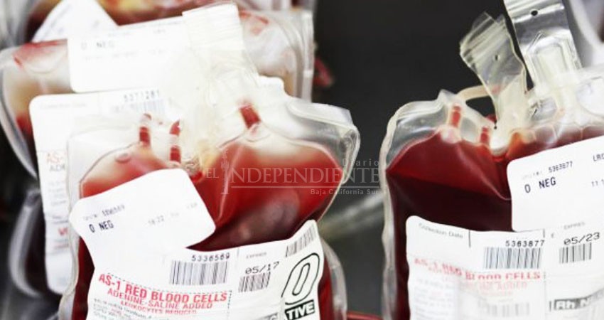 Sector Salud en BCS prohíbe a homosexuales donar sangre