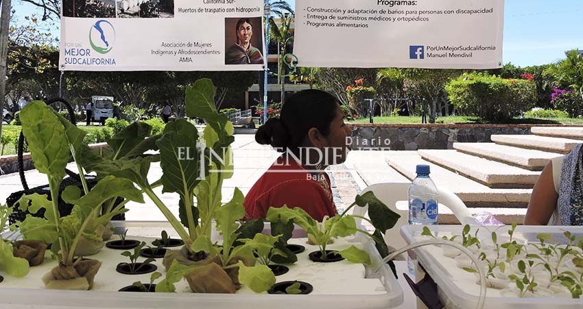 Mujeres indígenas y afrodescendientes del Estado replican hidroponía en sus comunidades