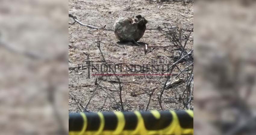 Fueron localizados los restos de 3 personas en la carretera a Cd Constitución