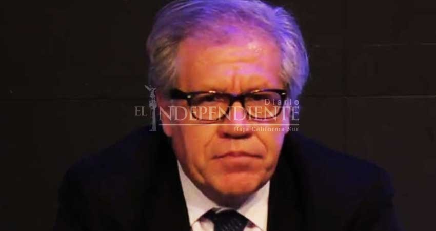 OEA: Es mejor investigar cuando es candidato; sobre caso Anaya